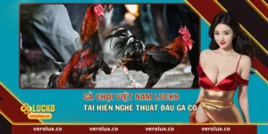 Gà Chọi Việt Nam Luck8 – Tái Hiện Nghệ Thuật Đấu Gà Cổ
