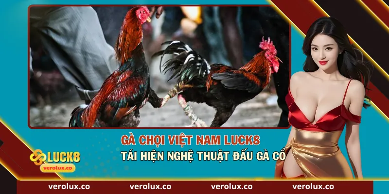 Gà Chọi Việt Nam Luck8 – Tái Hiện Nghệ Thuật Đấu Gà Cổ