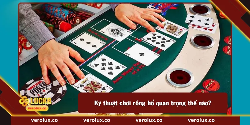 Kỹ thuật chơi rồng hổ quan trọng thế nào?
